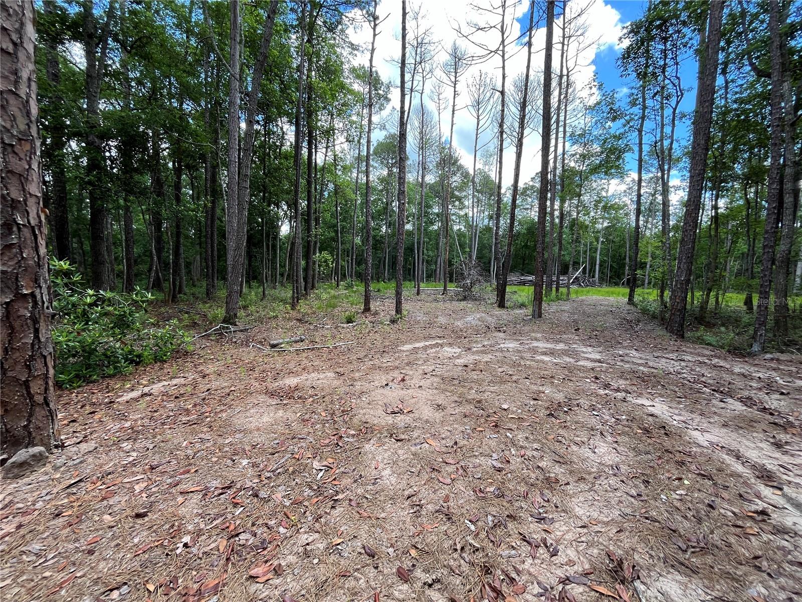 Image 3 of 22 For 4050 Als Satch Road