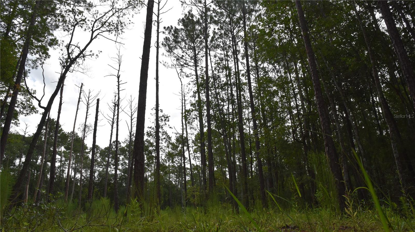 Image 9 of 22 For 4050 Als Satch Road