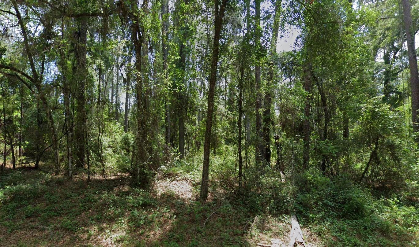 Details for 1032 Vercelli Lane, CITRUS SPRINGS, FL 34434