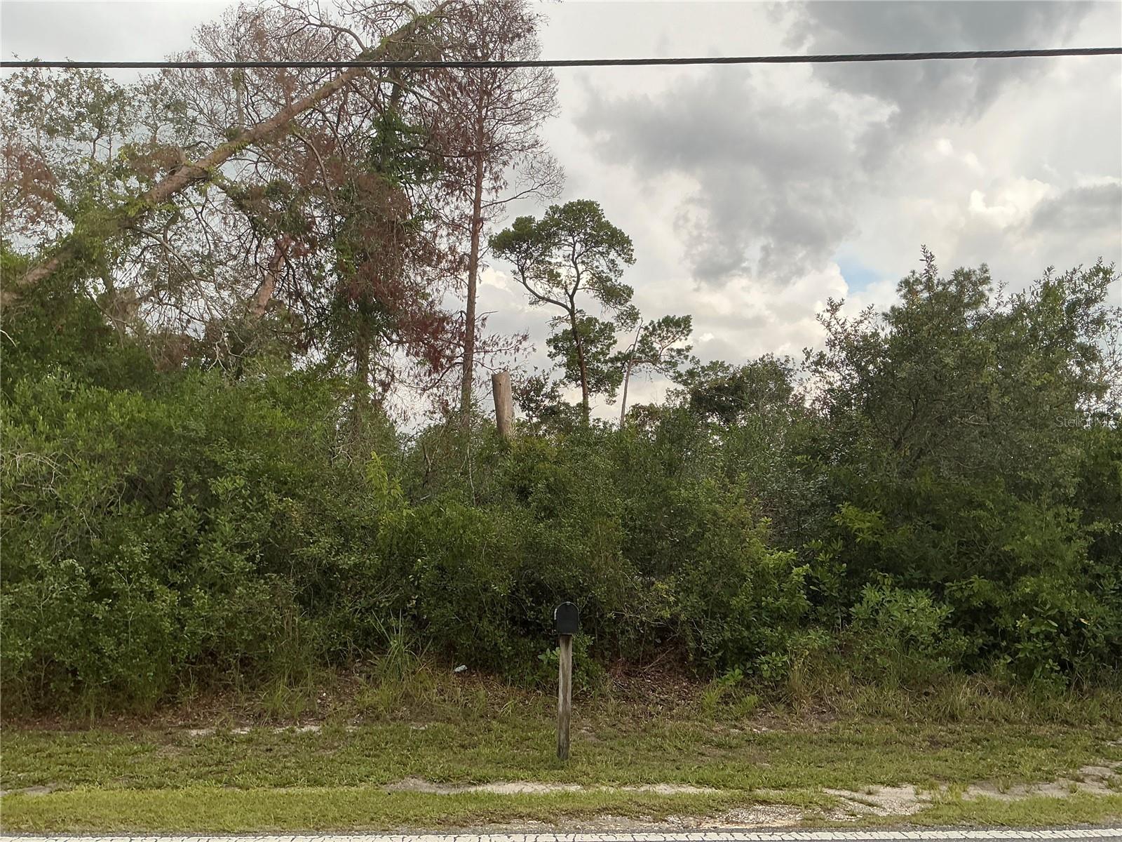 Details for 10128 Noddy Tern Road, WEEKI WACHEE, FL 34613