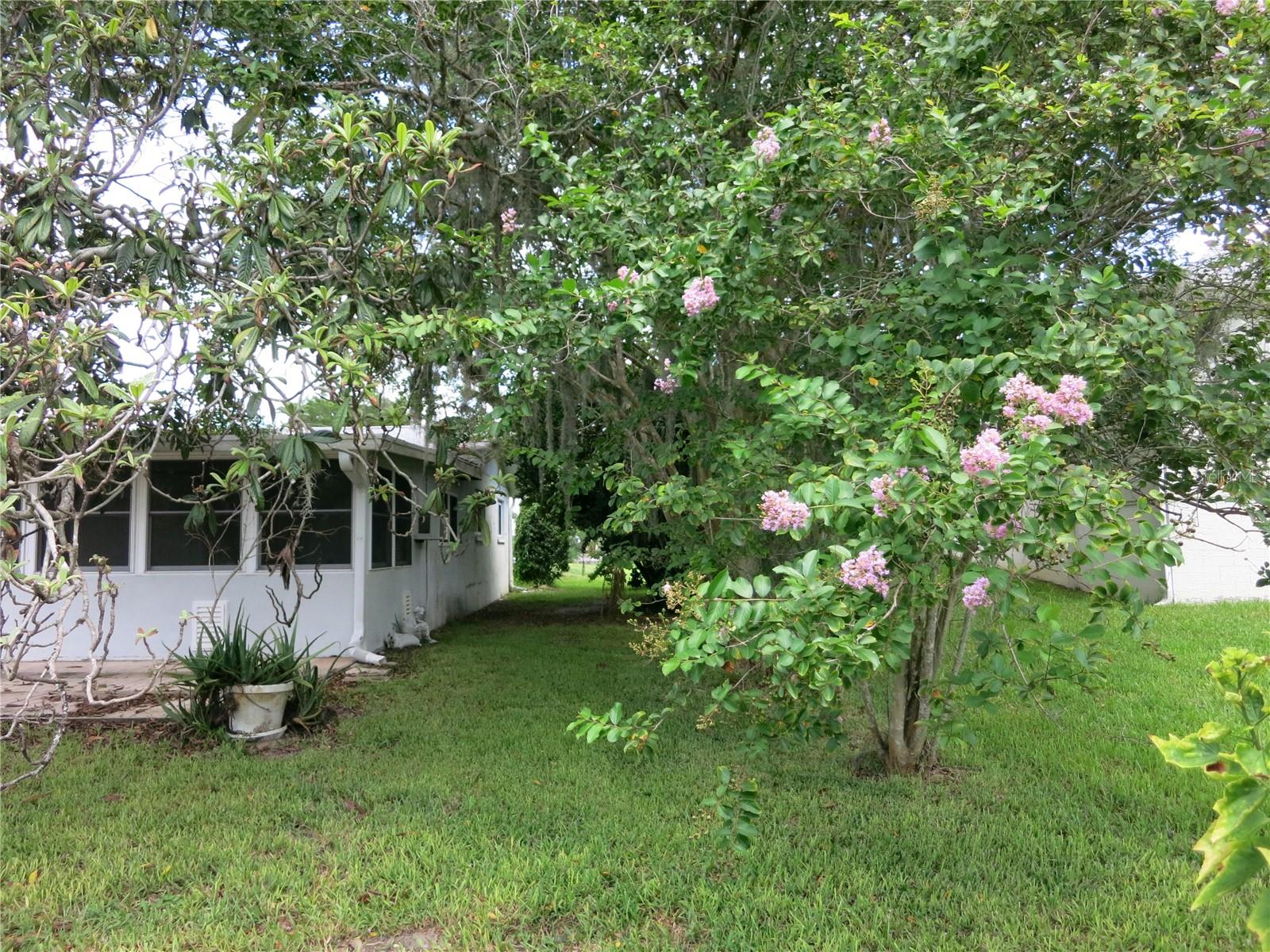 Listing photo id 34 for 3896 Seminole Point