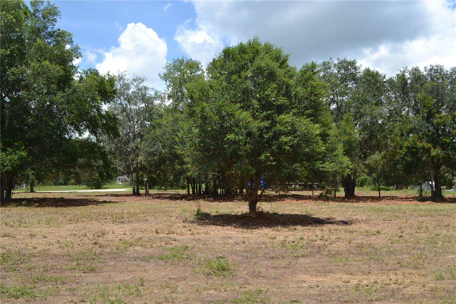 Listing photo id 2 for 00 Hwy 40  