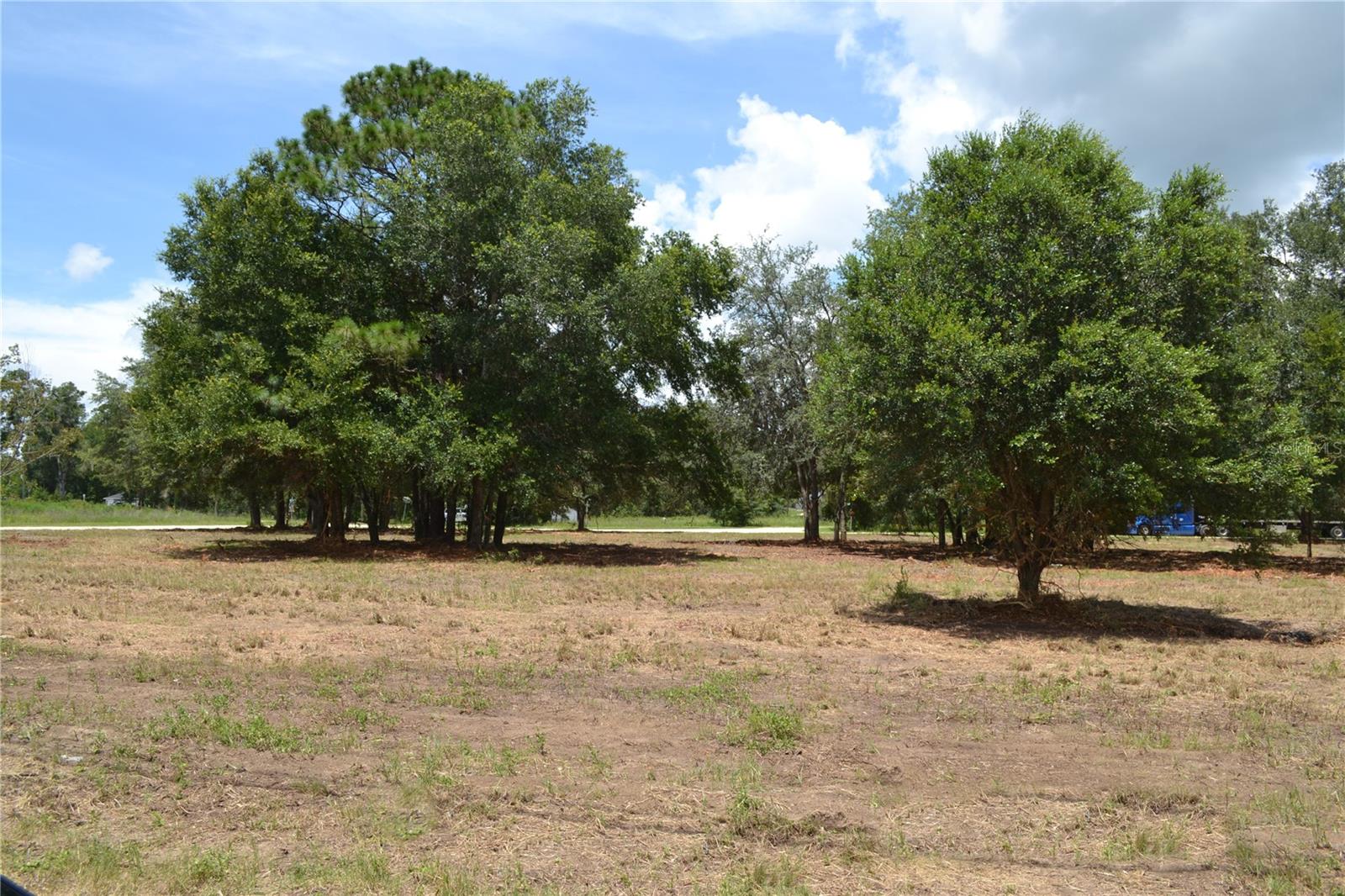 Listing photo id 3 for 00 Hwy 40  