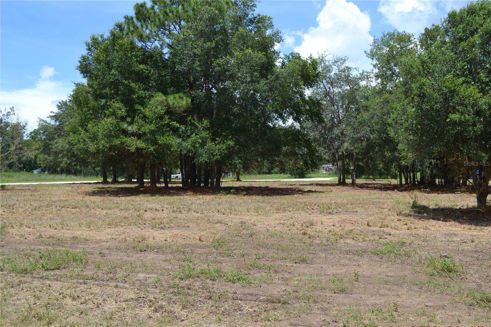 Listing photo id 4 for 00 Hwy 40  