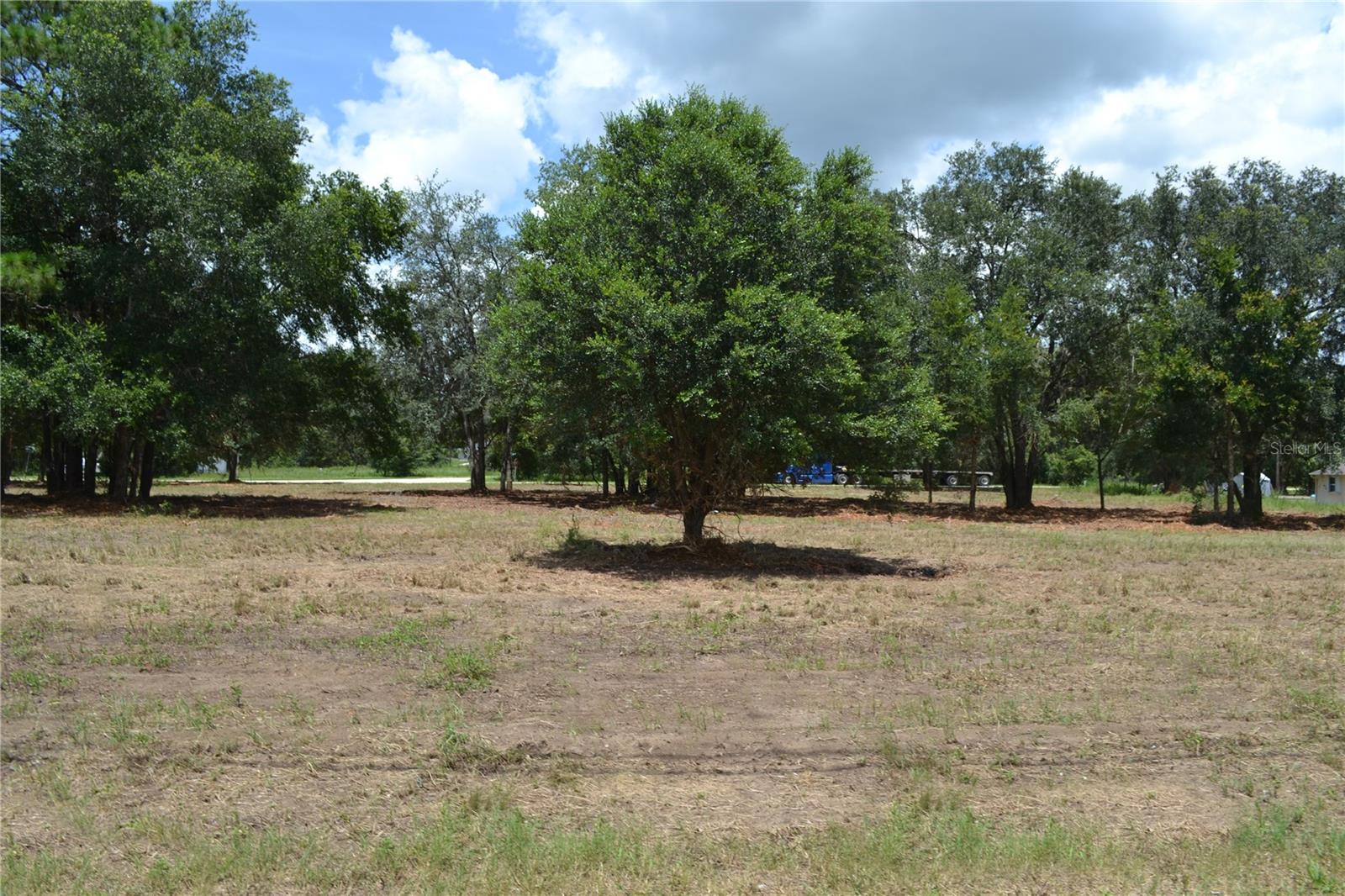 Listing photo id 7 for 00 Hwy 40  