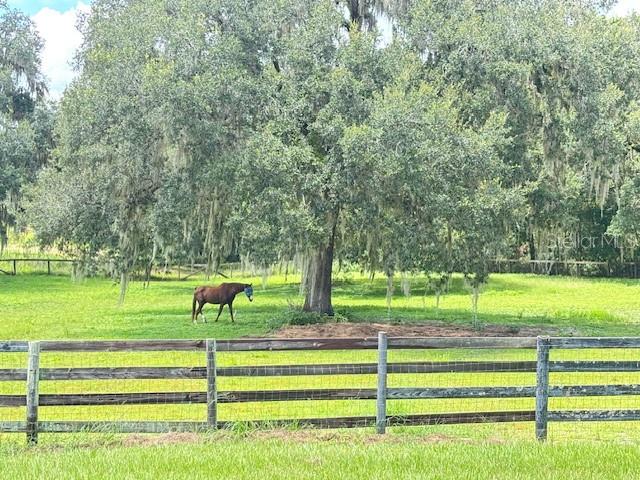 Image 51 of 60 For 11105 Us Highway 27