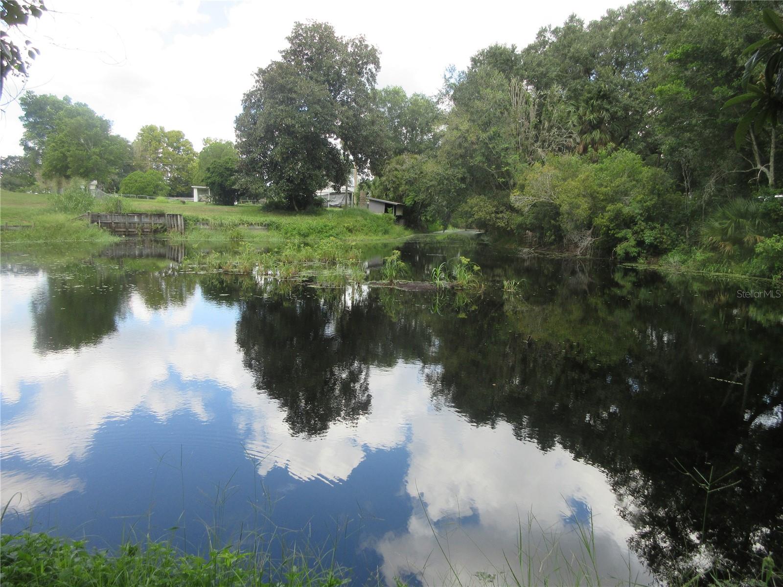 Details for  35th Ln  , OCKLAWAHA, FL 32179