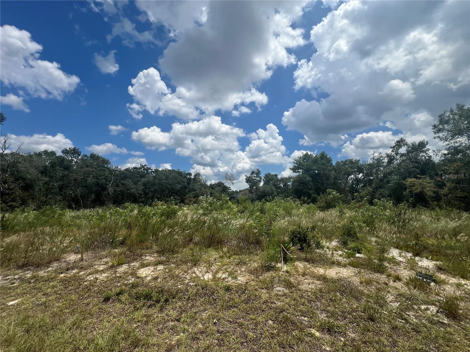 Details for 15767 37th Avenue, OCALA, FL 34473