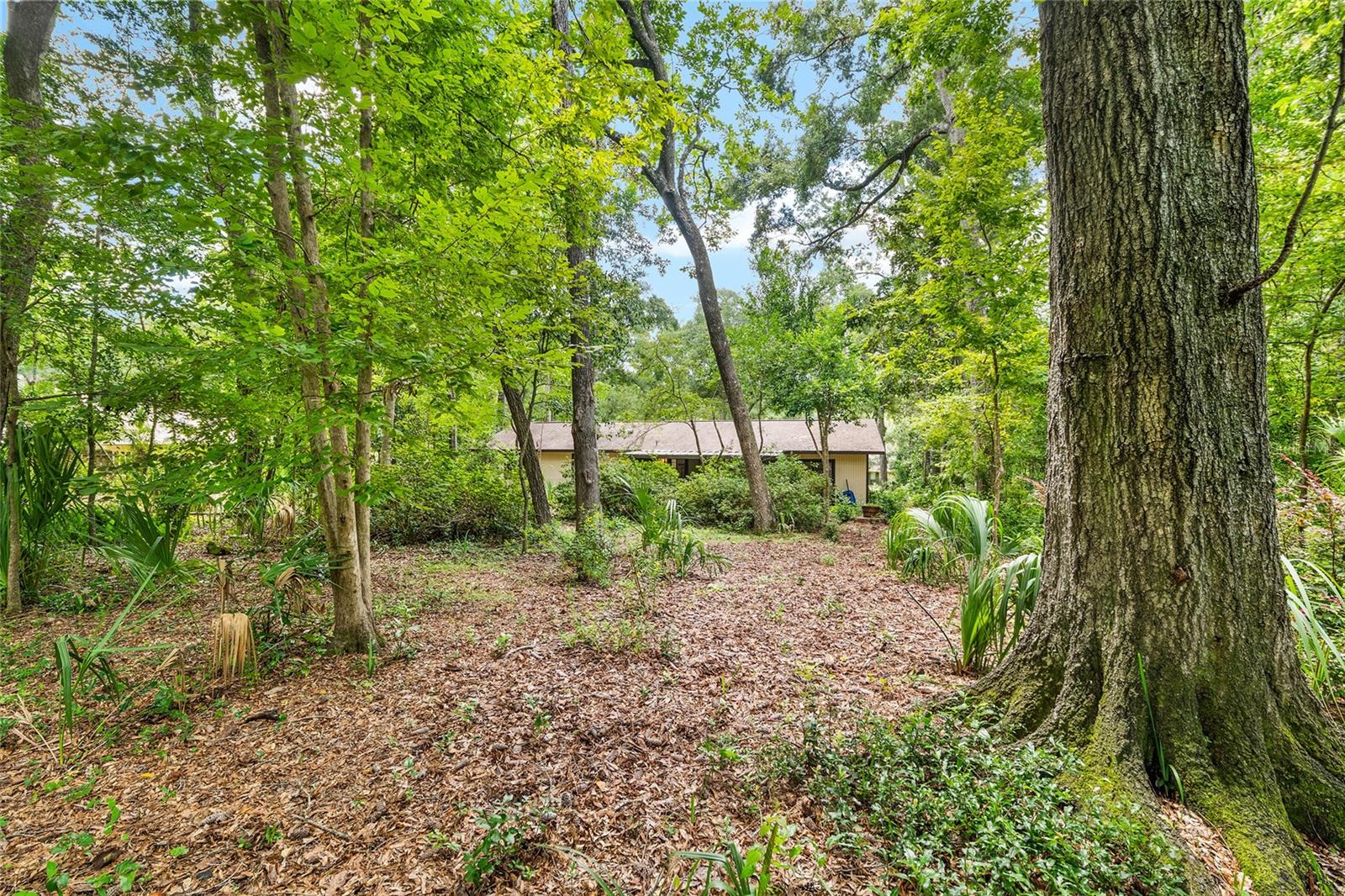 Image 62 of 73 For 3560 30th Boulevard