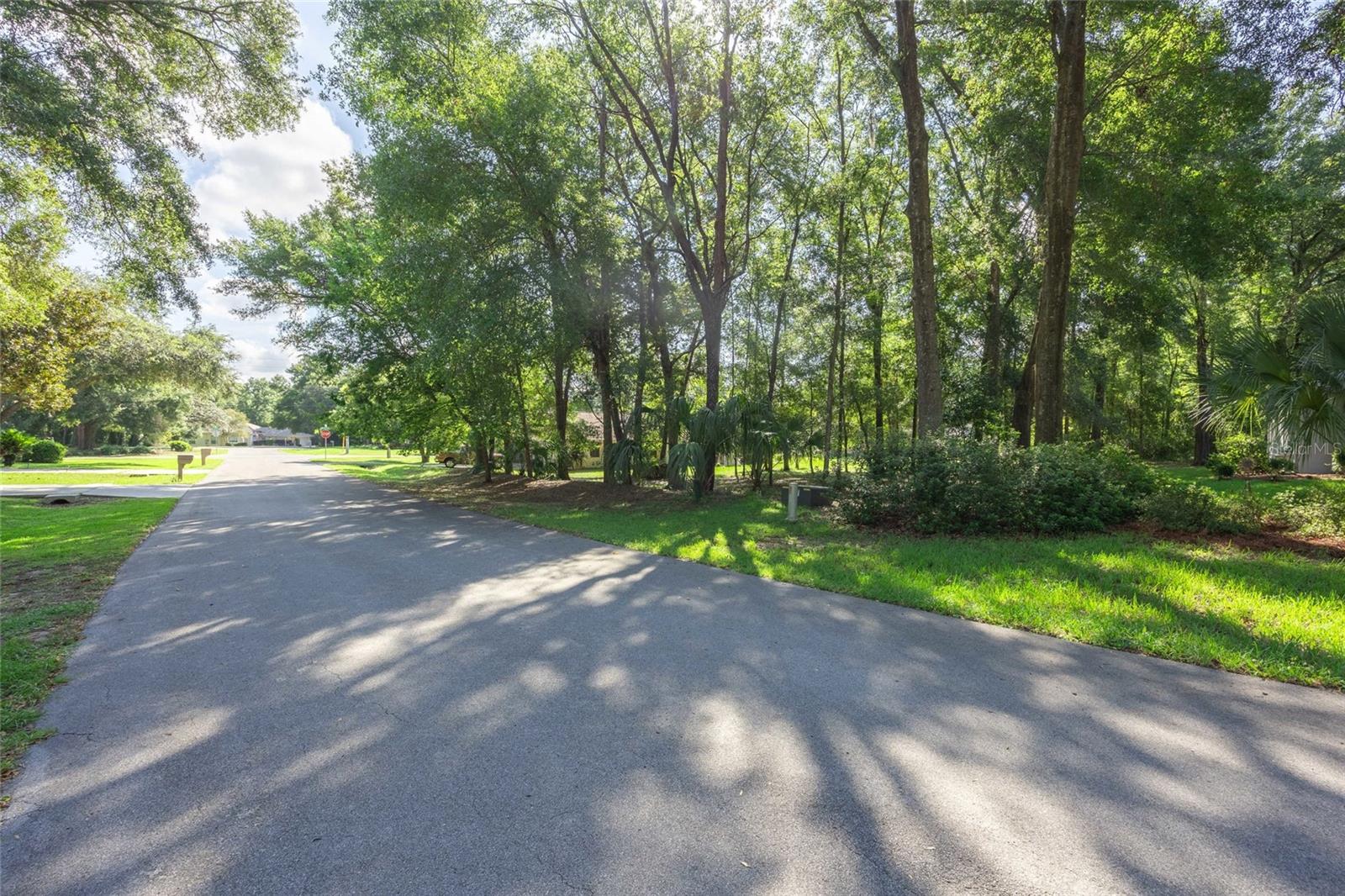 Image 4 of 23 For Lot 11 96th Loop