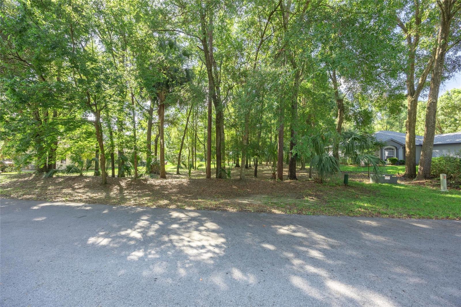 Image 5 of 23 For Lot 11 96th Loop