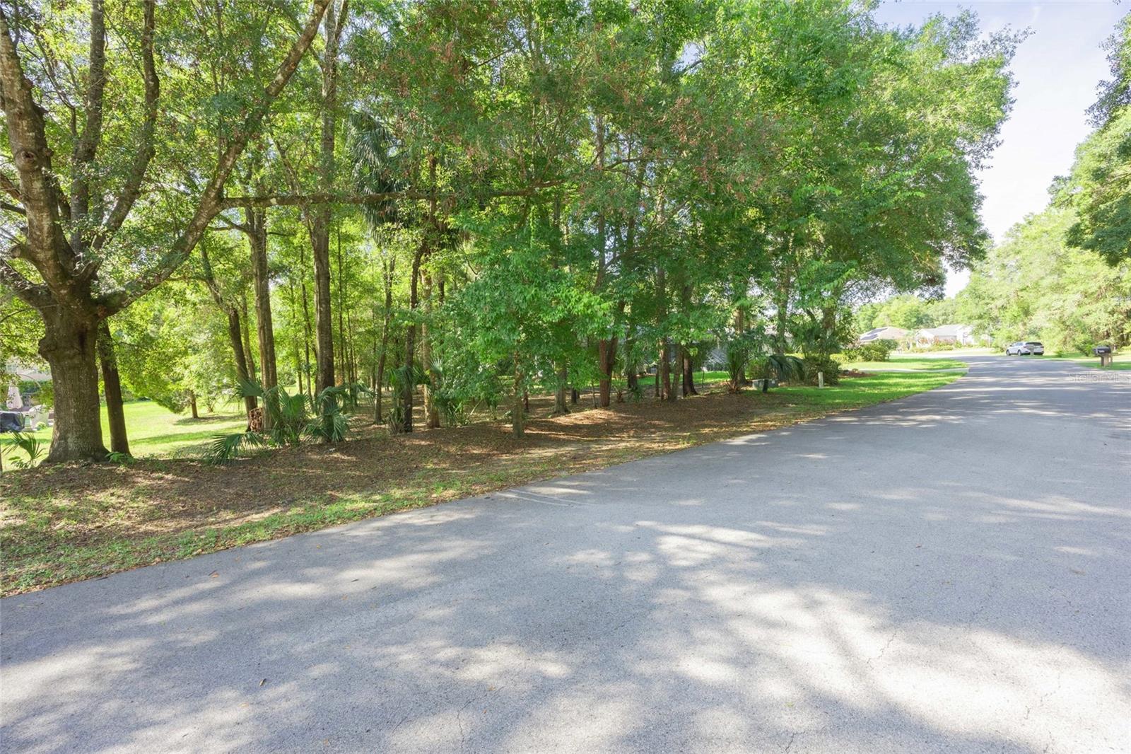 Image 6 of 23 For Lot 11 96th Loop