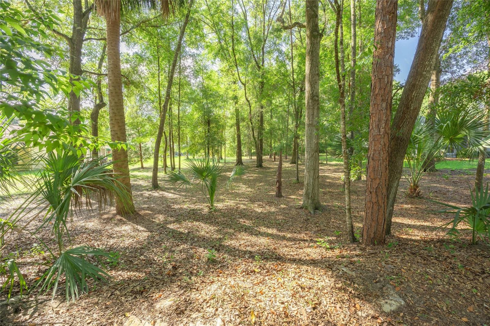 Image 7 of 23 For Lot 11 96th Loop