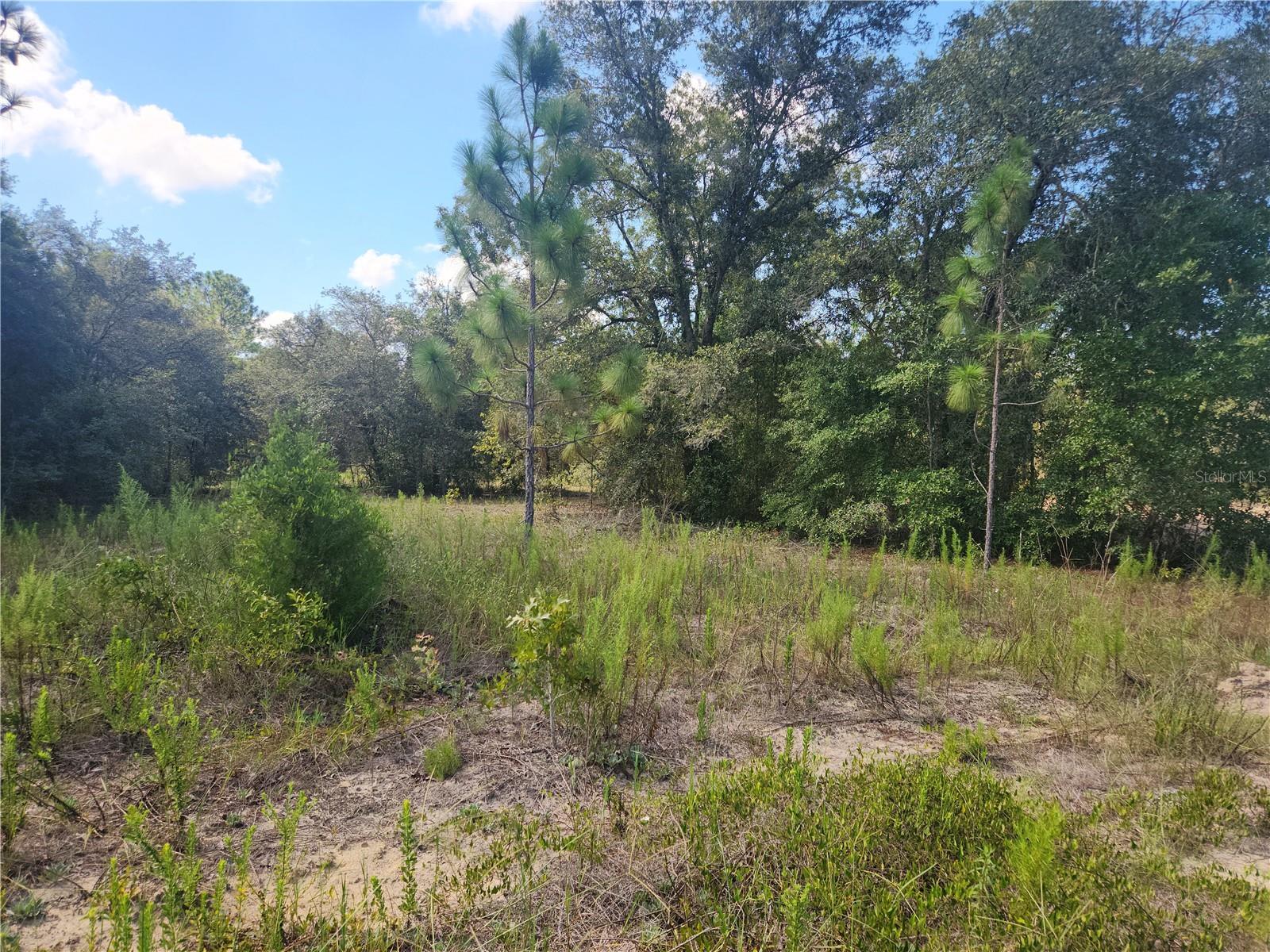 Image 2 of 12 For Lot 21 Rainbow Lakes Boulevard