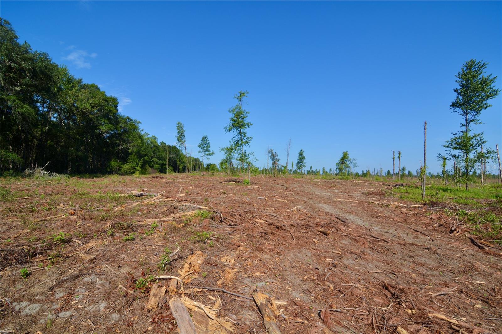 Image 10 of 29 For Sw County Road 249