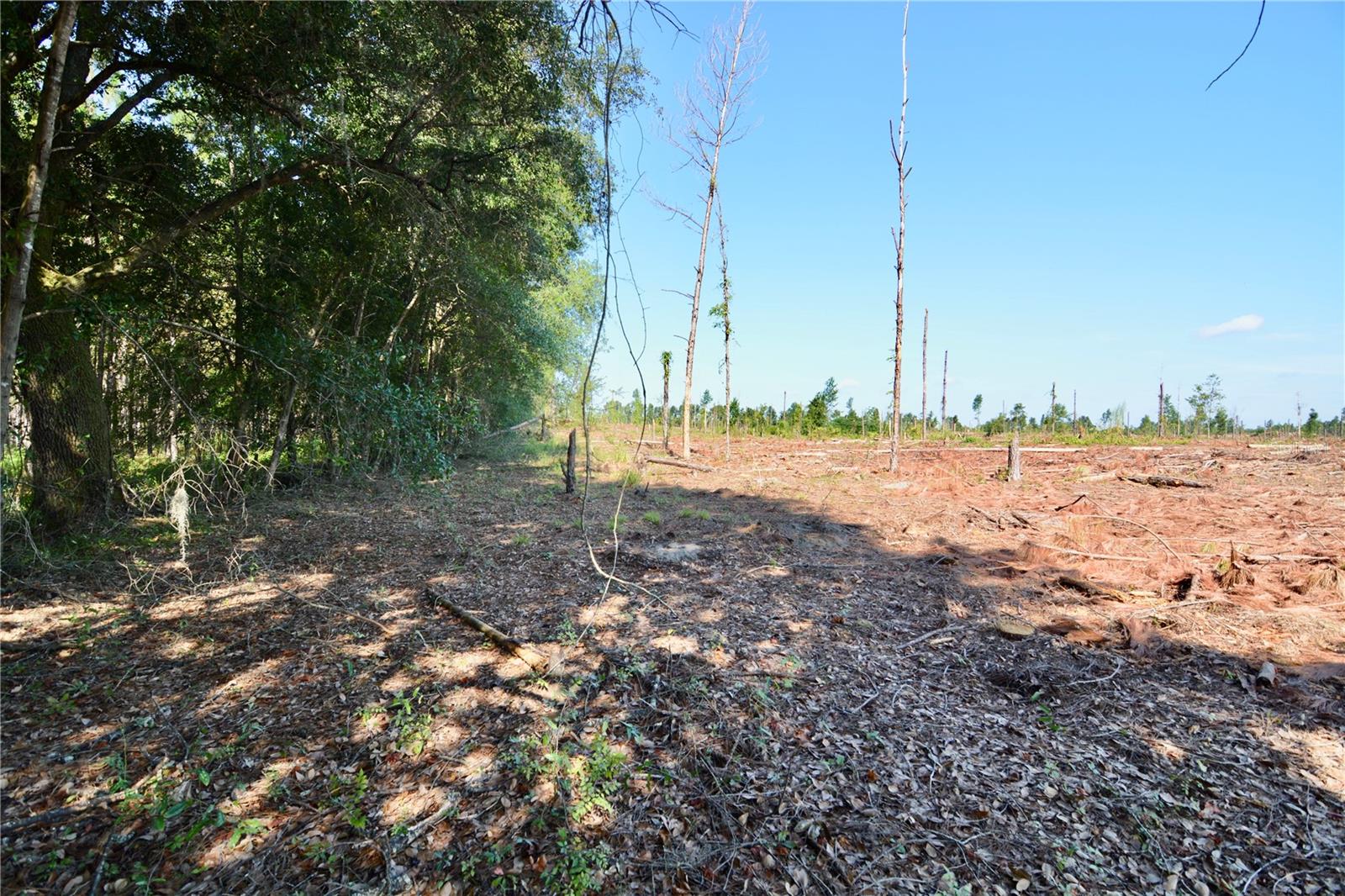 Image 12 of 29 For Sw County Road 249