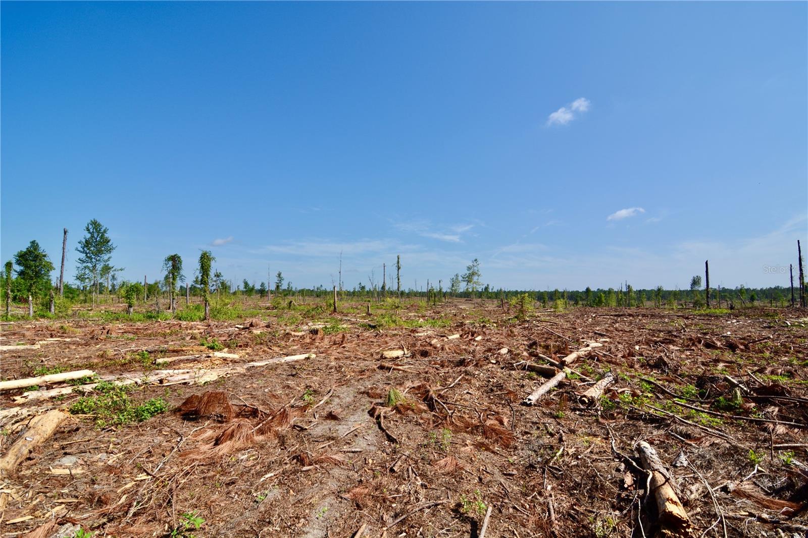 Image 13 of 29 For Sw County Road 249