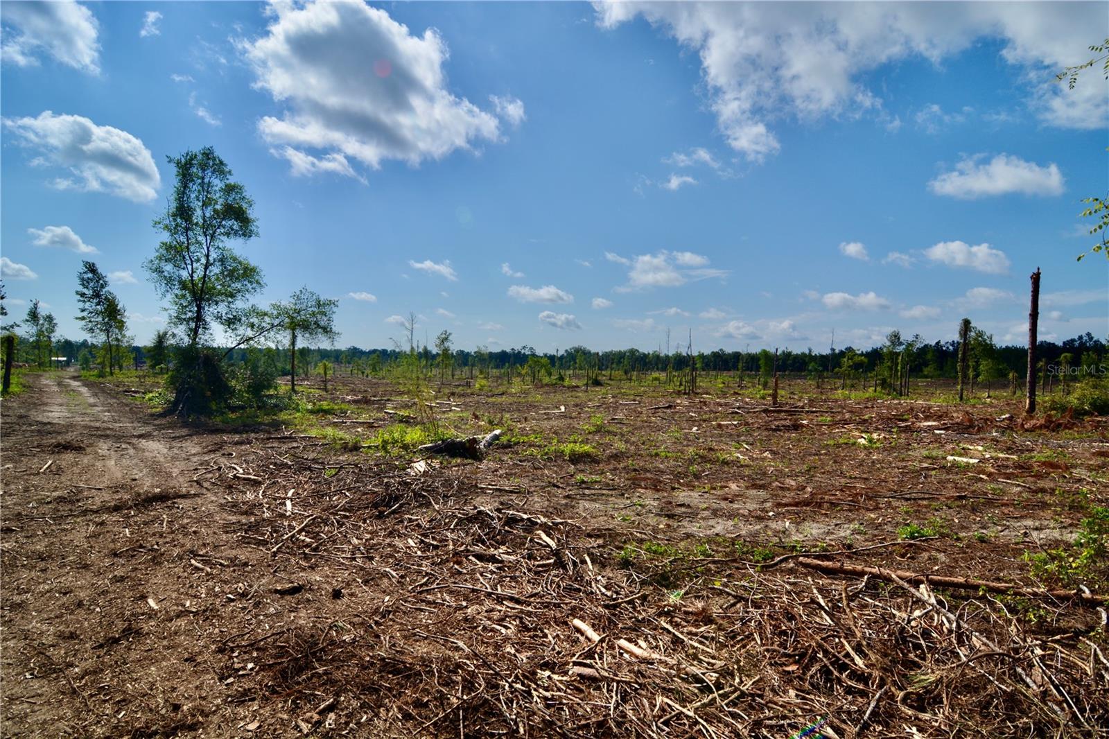 Image 16 of 29 For Sw County Road 249