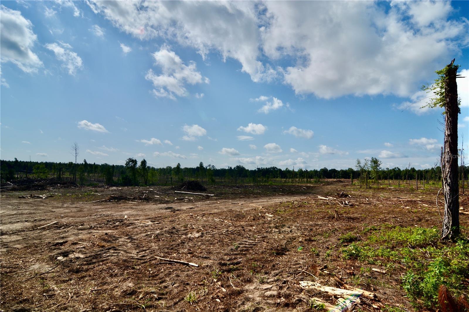Image 18 of 29 For Sw County Road 249
