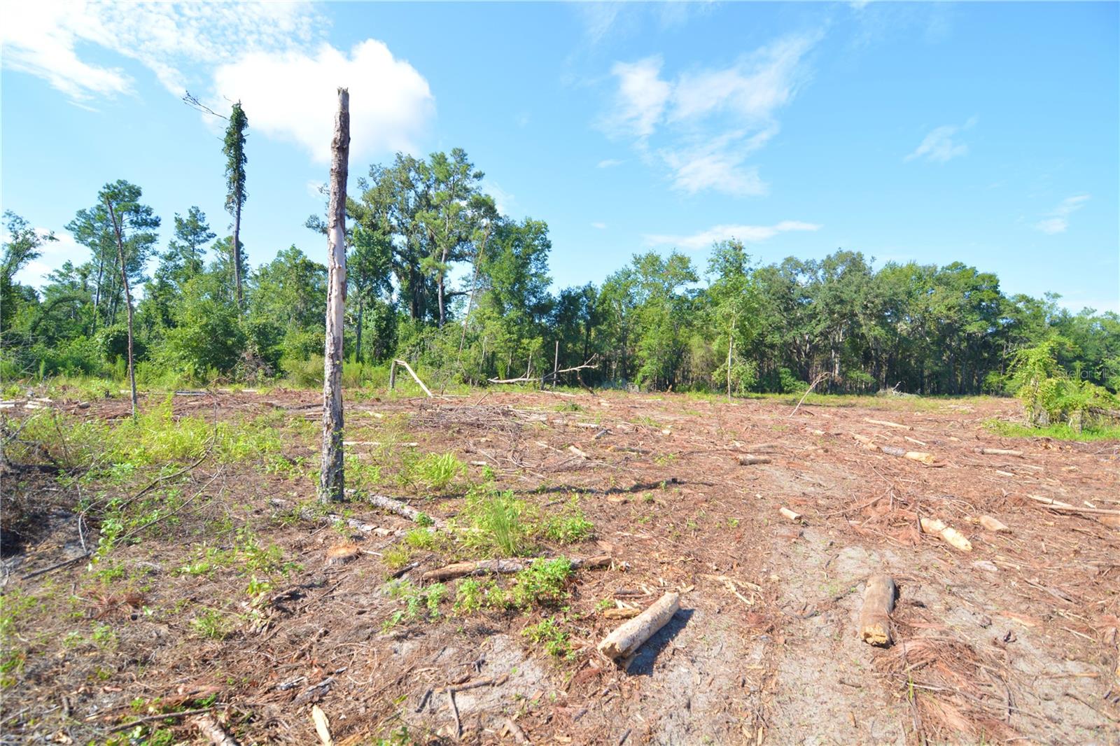 Image 20 of 29 For Sw County Road 249