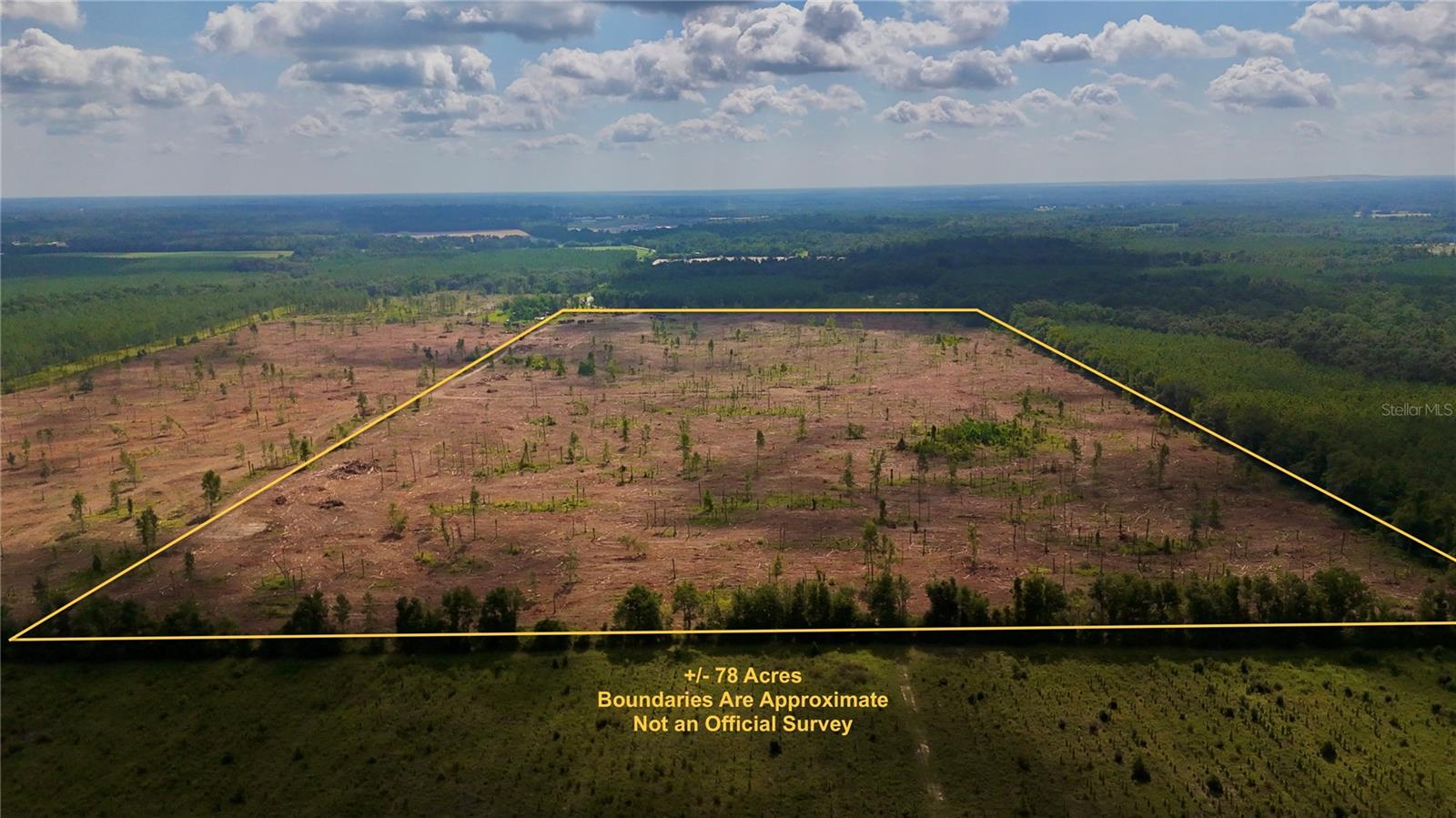 Image 3 of 29 For Sw County Road 249