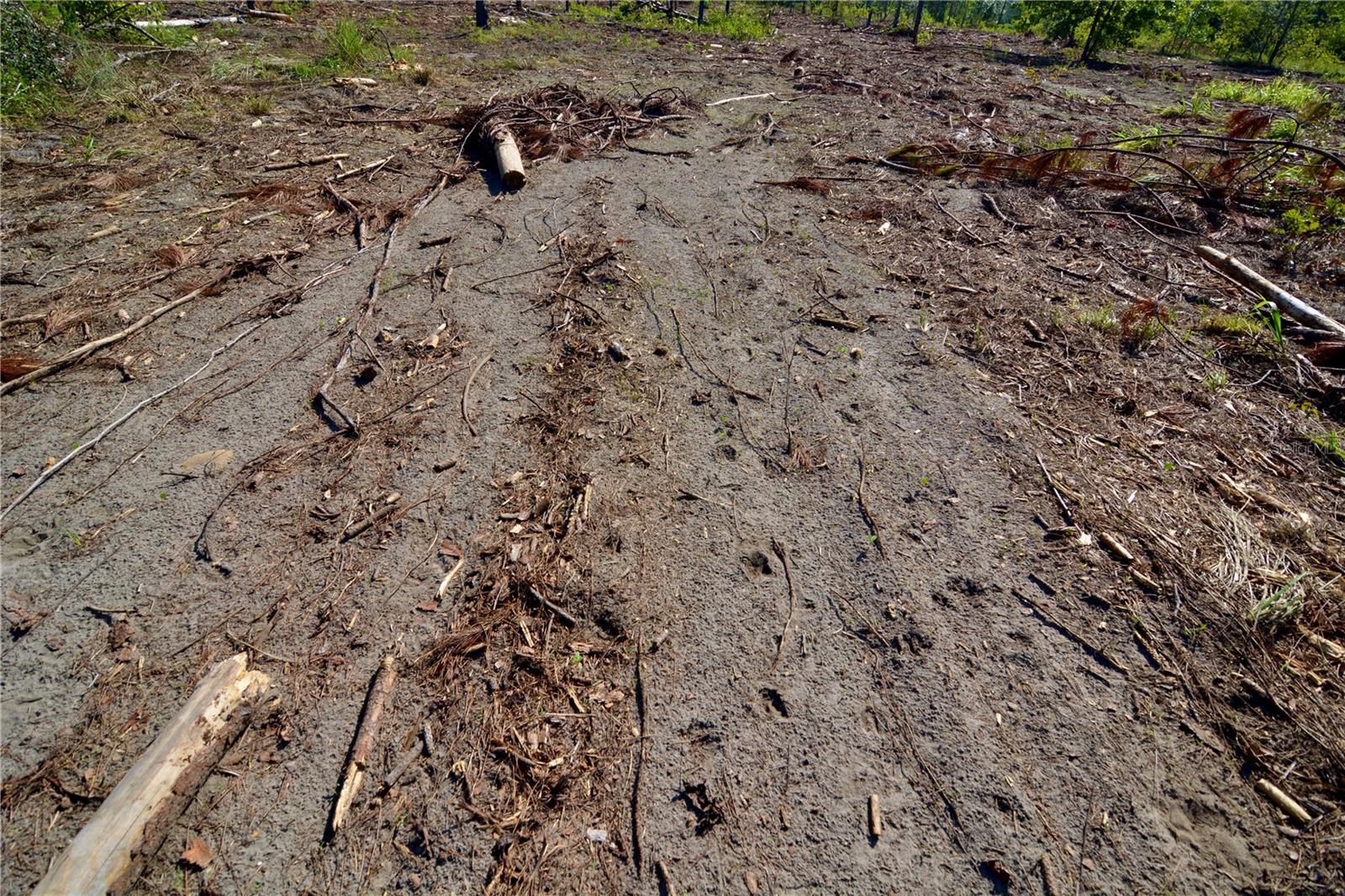 Image 8 of 29 For Sw County Road 249