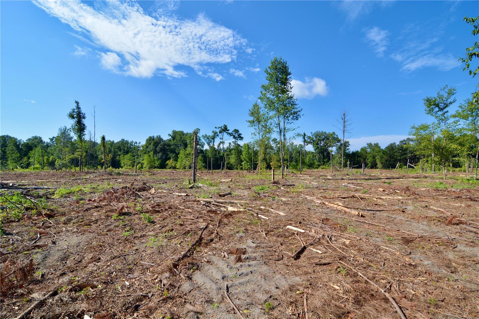 Image 9 of 29 For Sw County Road 249