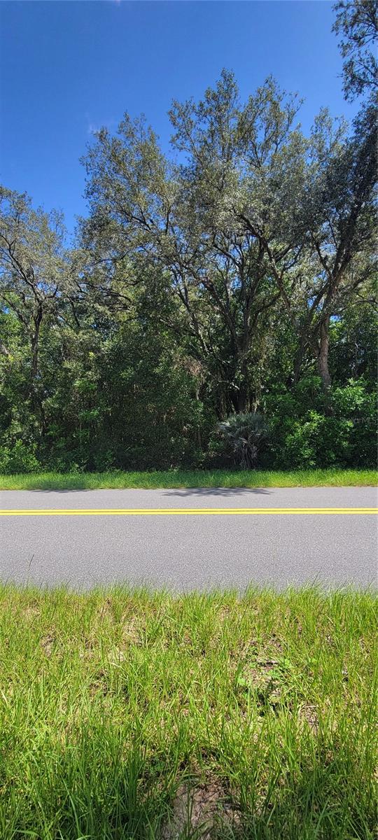 Details for 0 Beach Boulevard, DUNNELLON, FL 34431