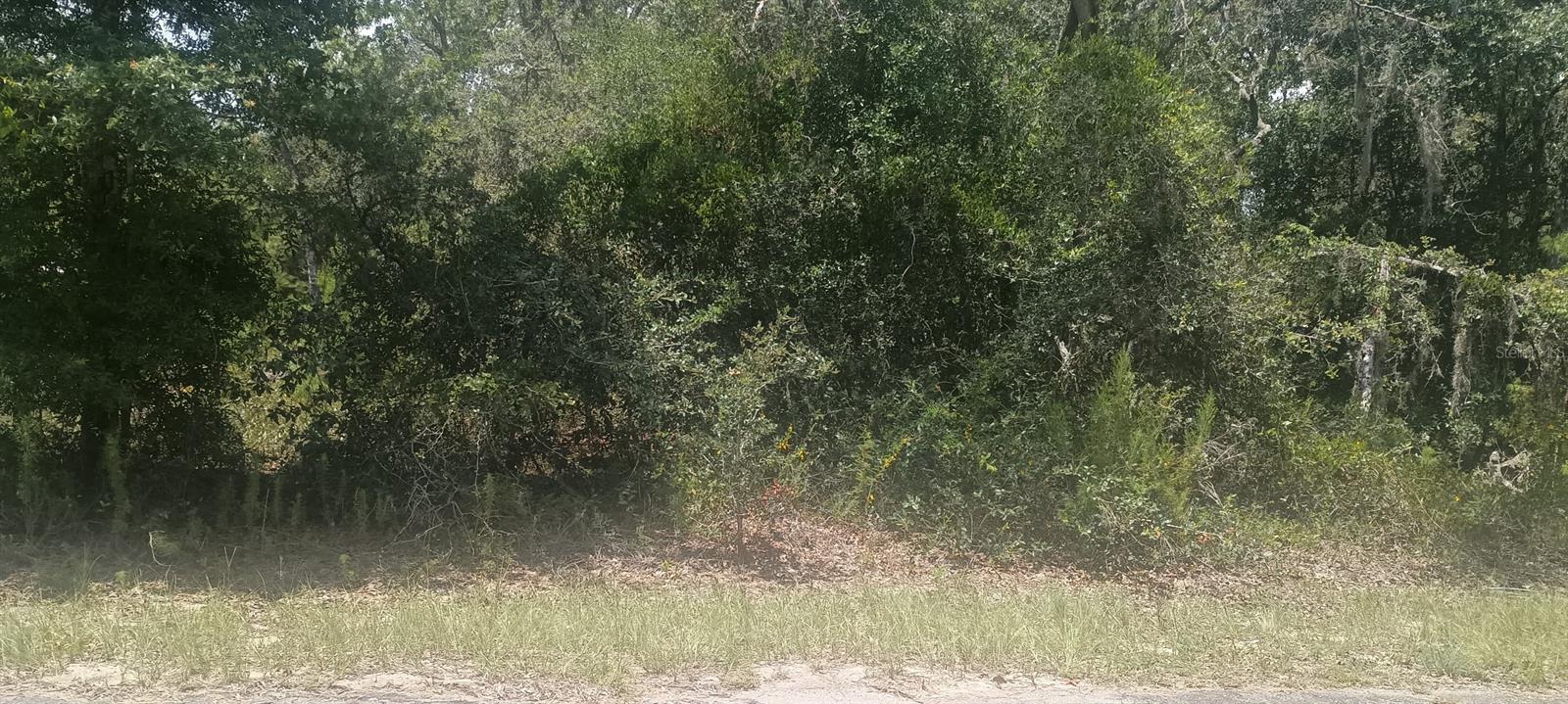 Image 2 of 6 For Guava Pass Crossing 5