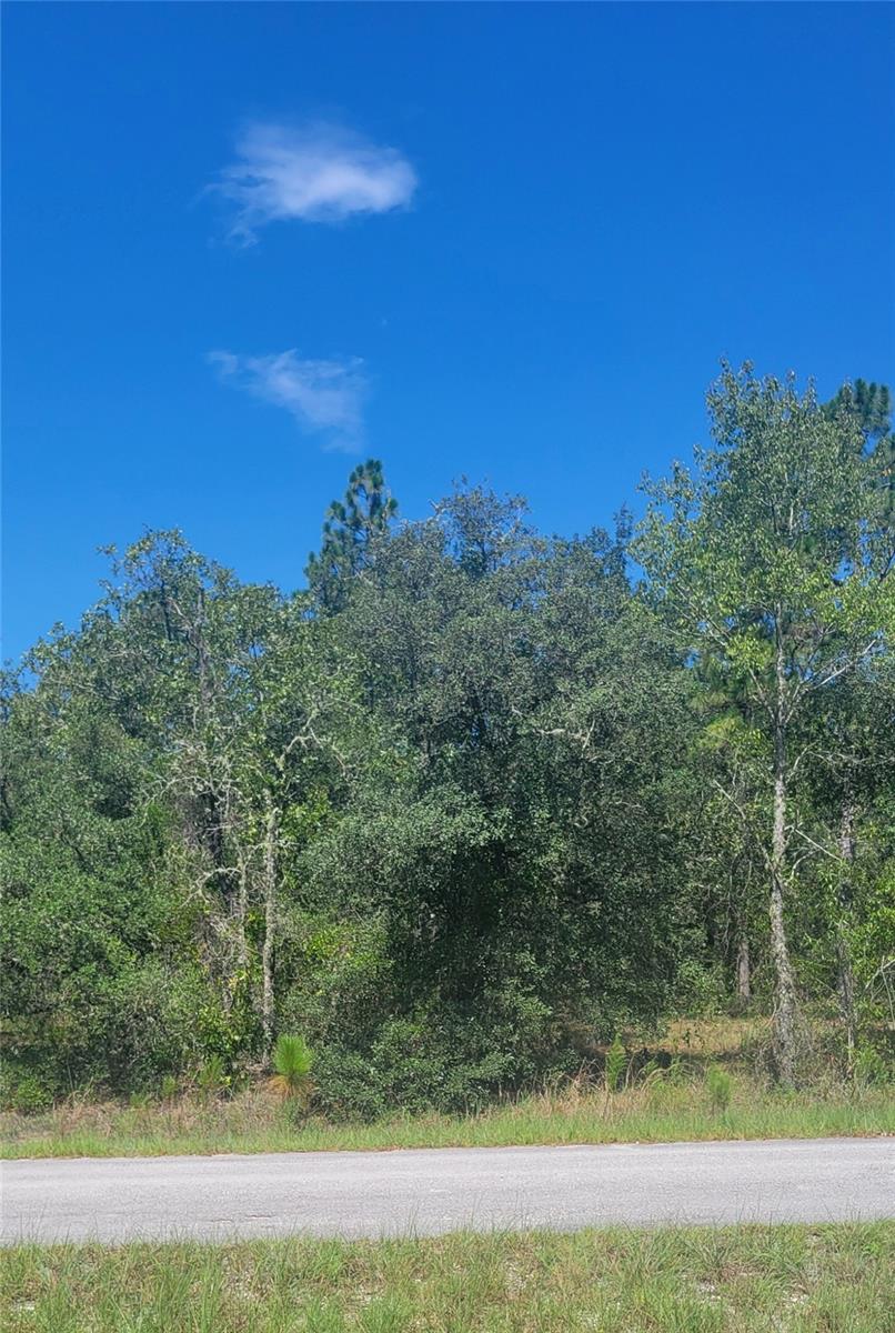 Details for 0 Big Bear Ridge, DUNNELLON, FL 34431