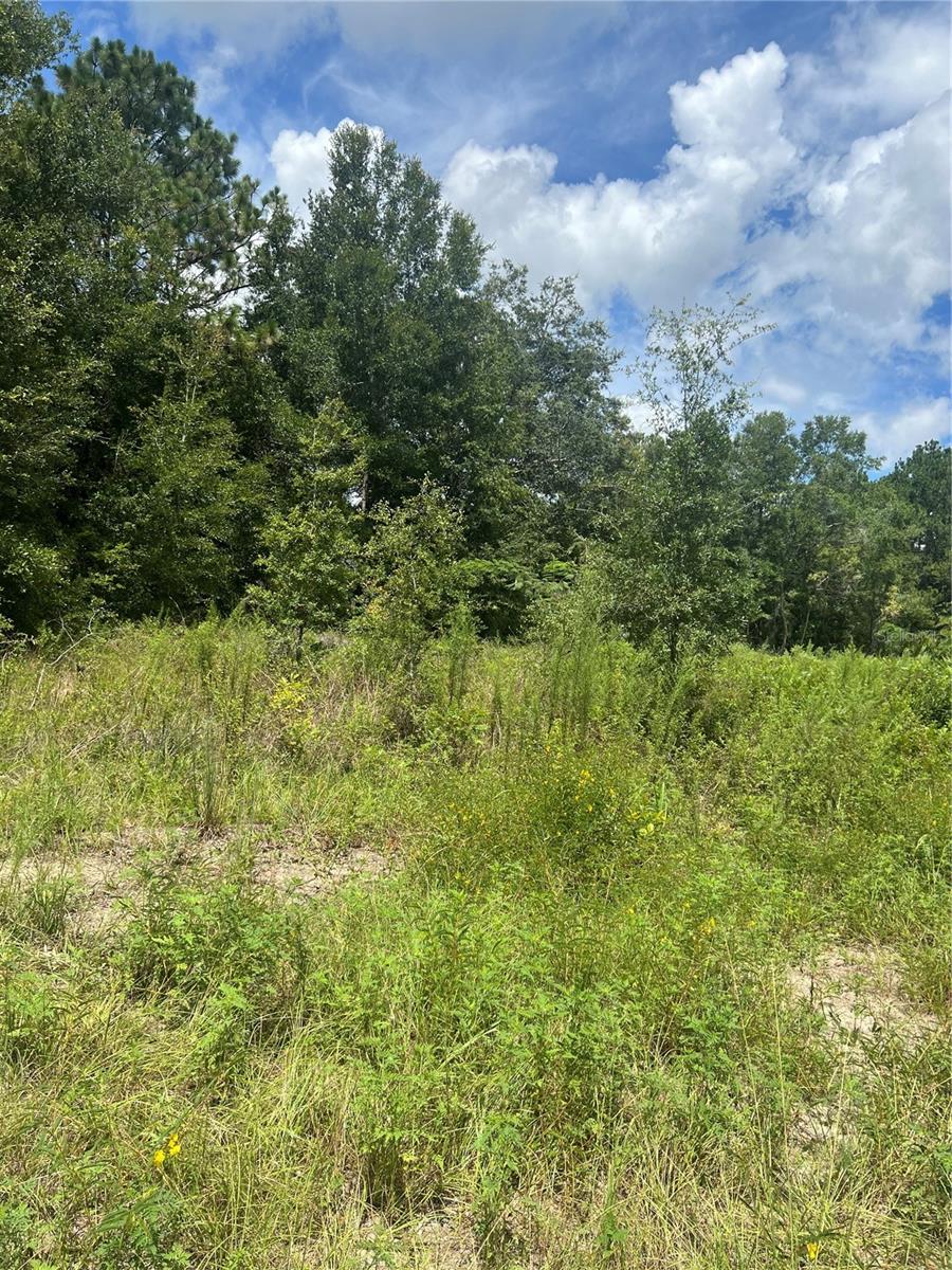 Details for 42nd Terrace, SUMMERFIELD, FL 34491