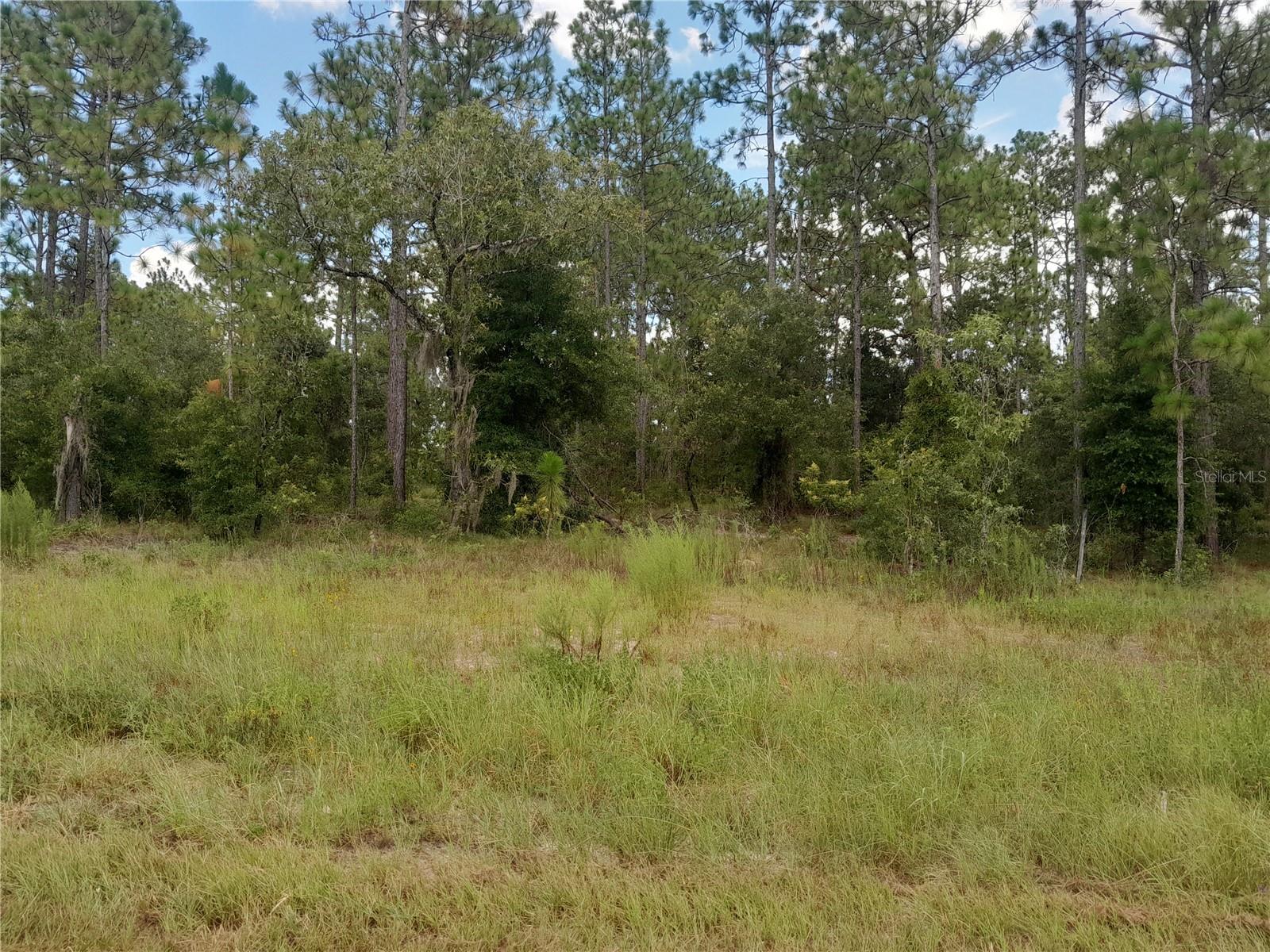 Image 2 of 5 For Tbd State Road 121