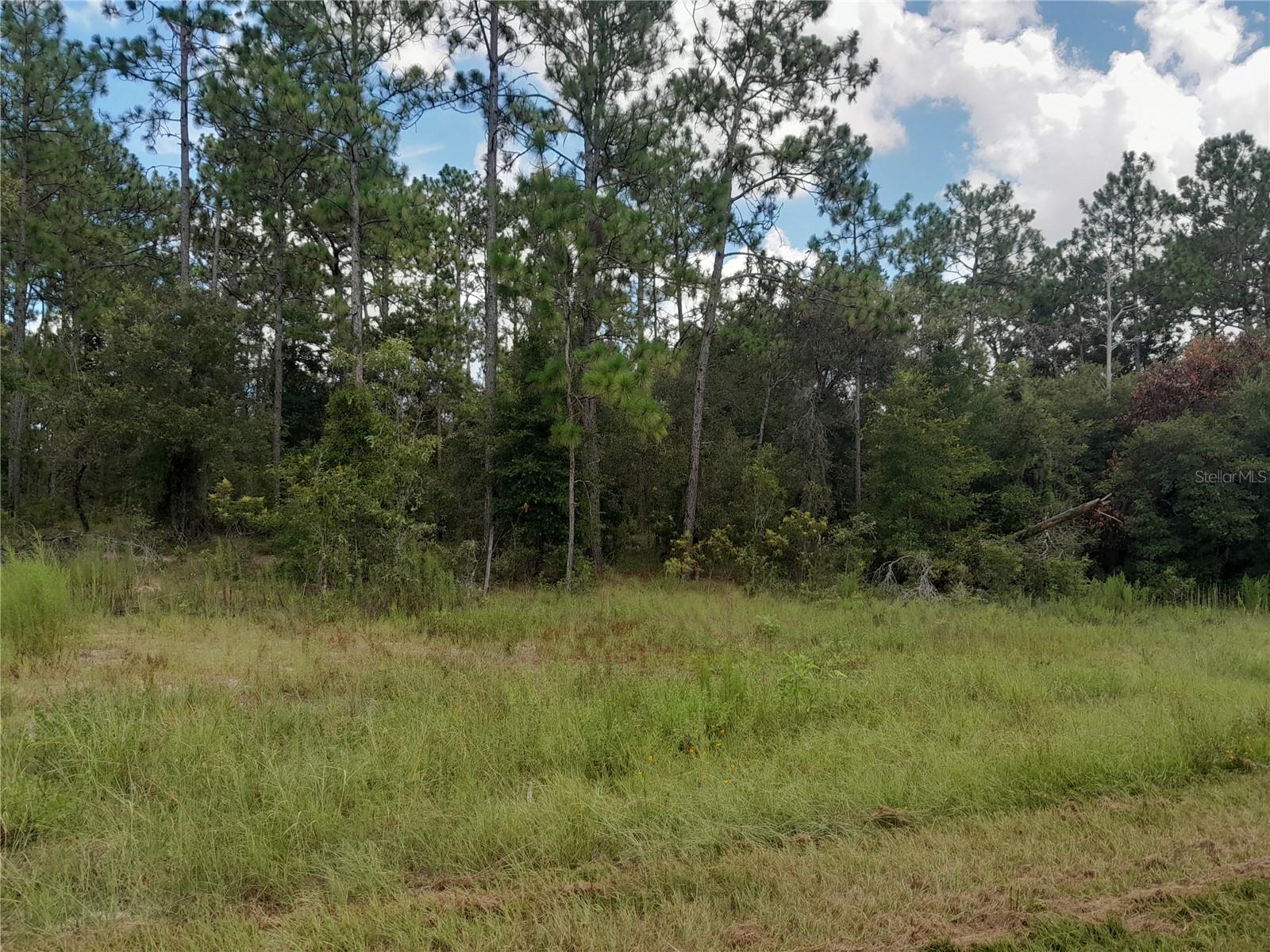 Image 3 of 5 For Tbd State Road 121