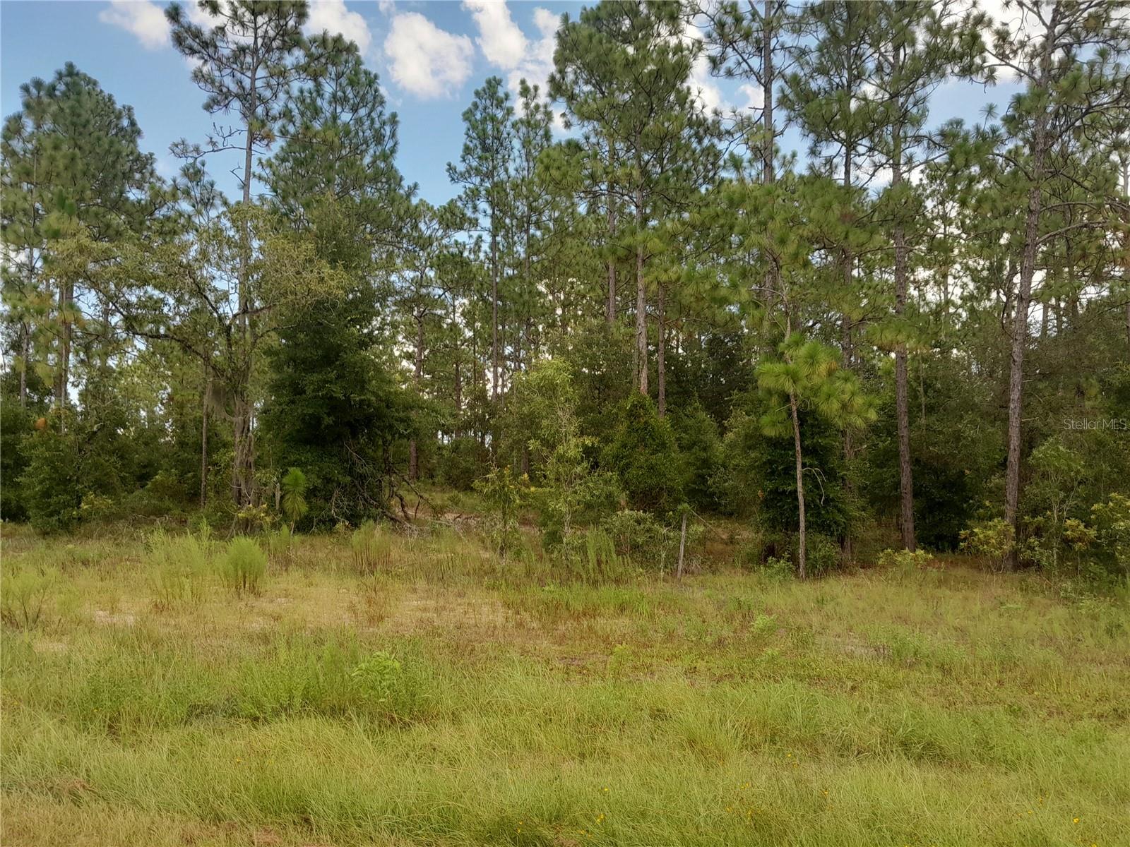 Image 4 of 5 For Tbd State Road 121