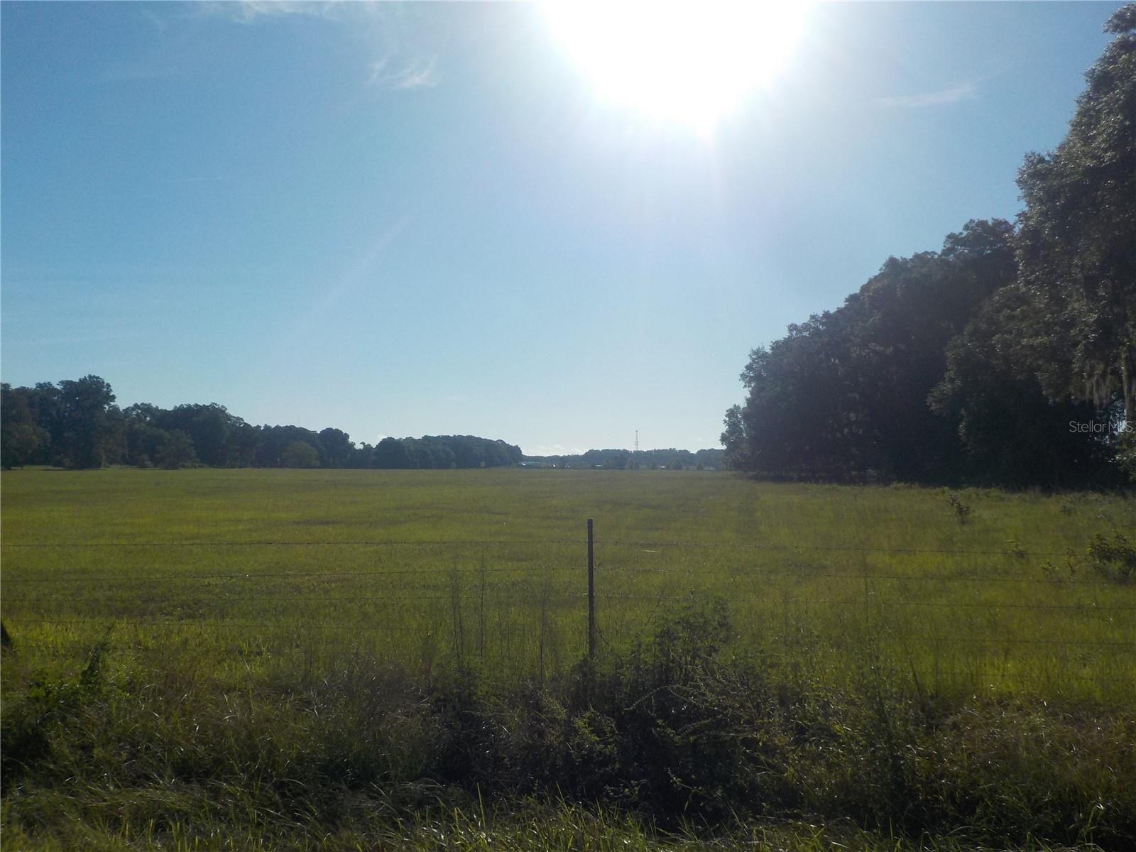 Listing Details for  Highway 475  , SUMMERFIELD, FL 34491
