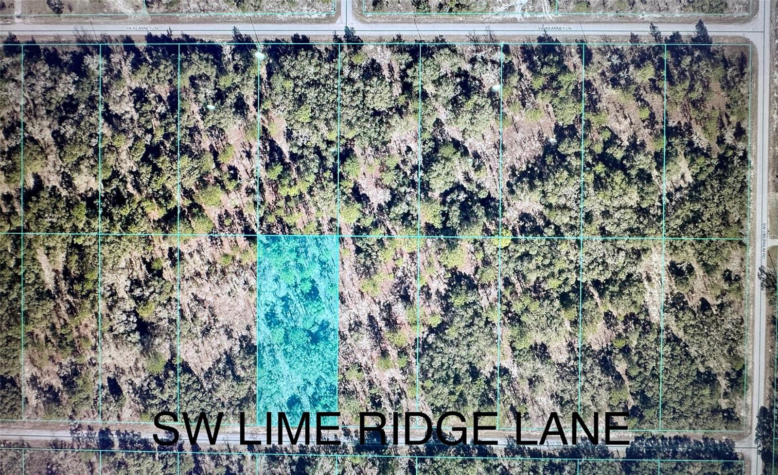 Listing Details for Tbd Limeridge Lane, DUNNELLON, FL 34431