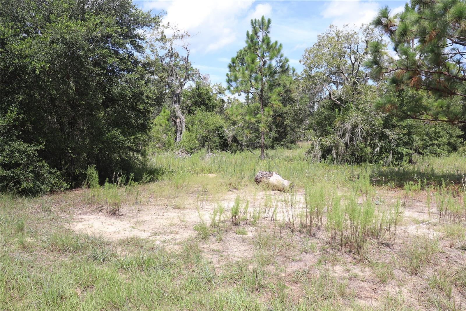 Details for 5609 Connetquot Place, DUNNELLON, FL 34433