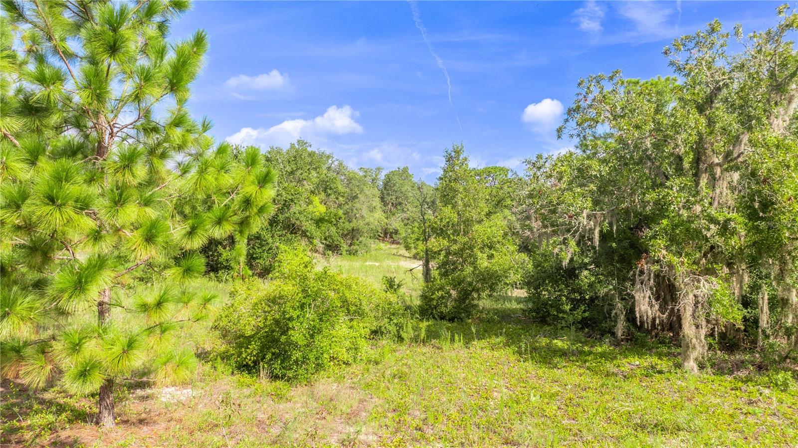 Listing photo id 8 for 5609 Connetquot Place