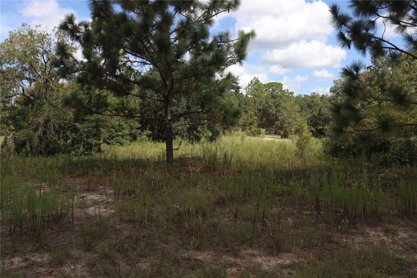 Listing photo id 0 for 5609 Connetquot Place