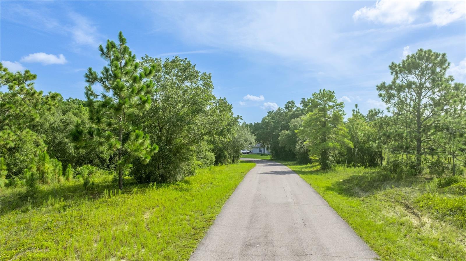 Listing photo id 7 for 5609 Connetquot Place