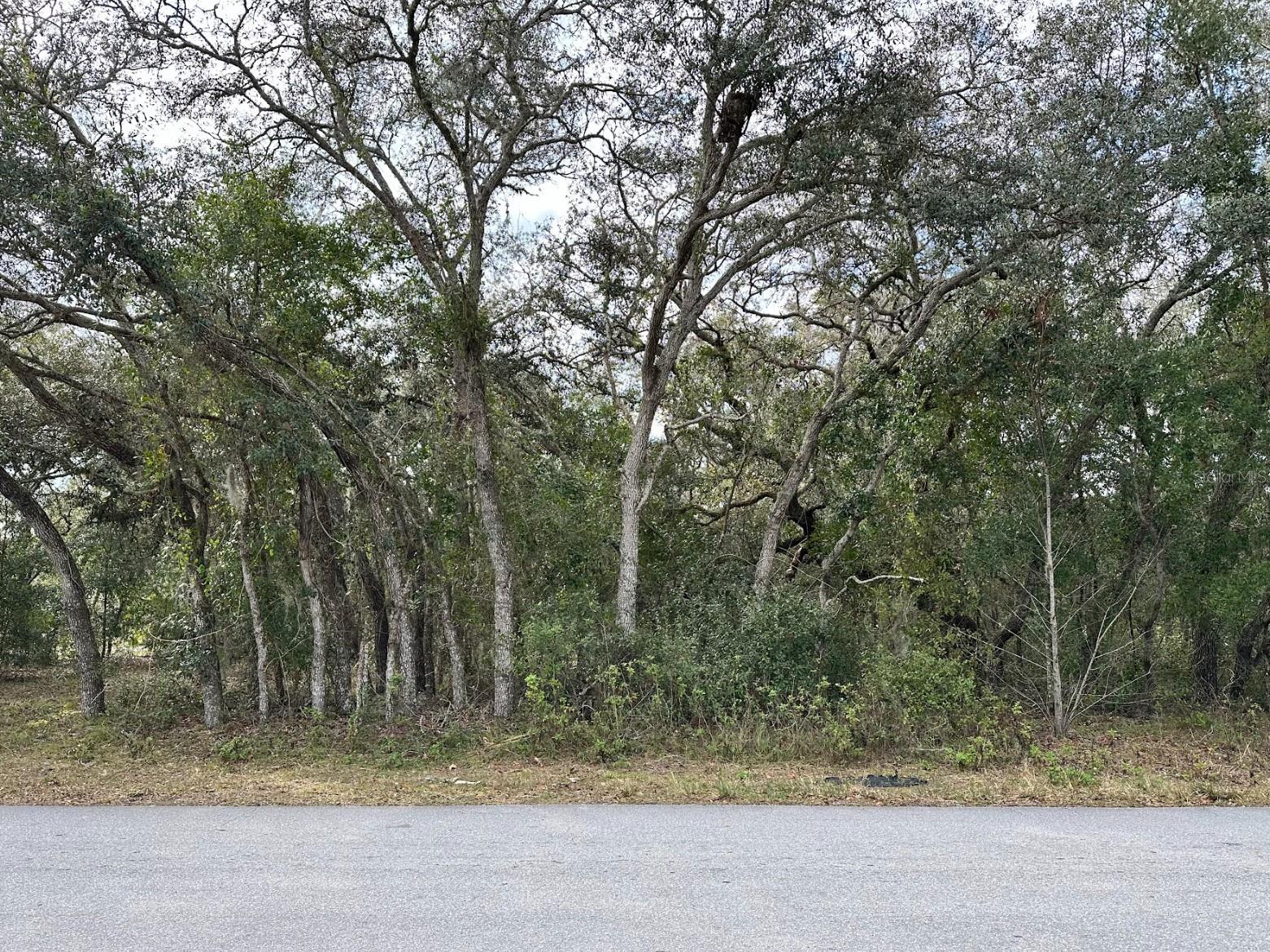 Details for 56 Fresno Avenue, HERNANDO, FL 34442