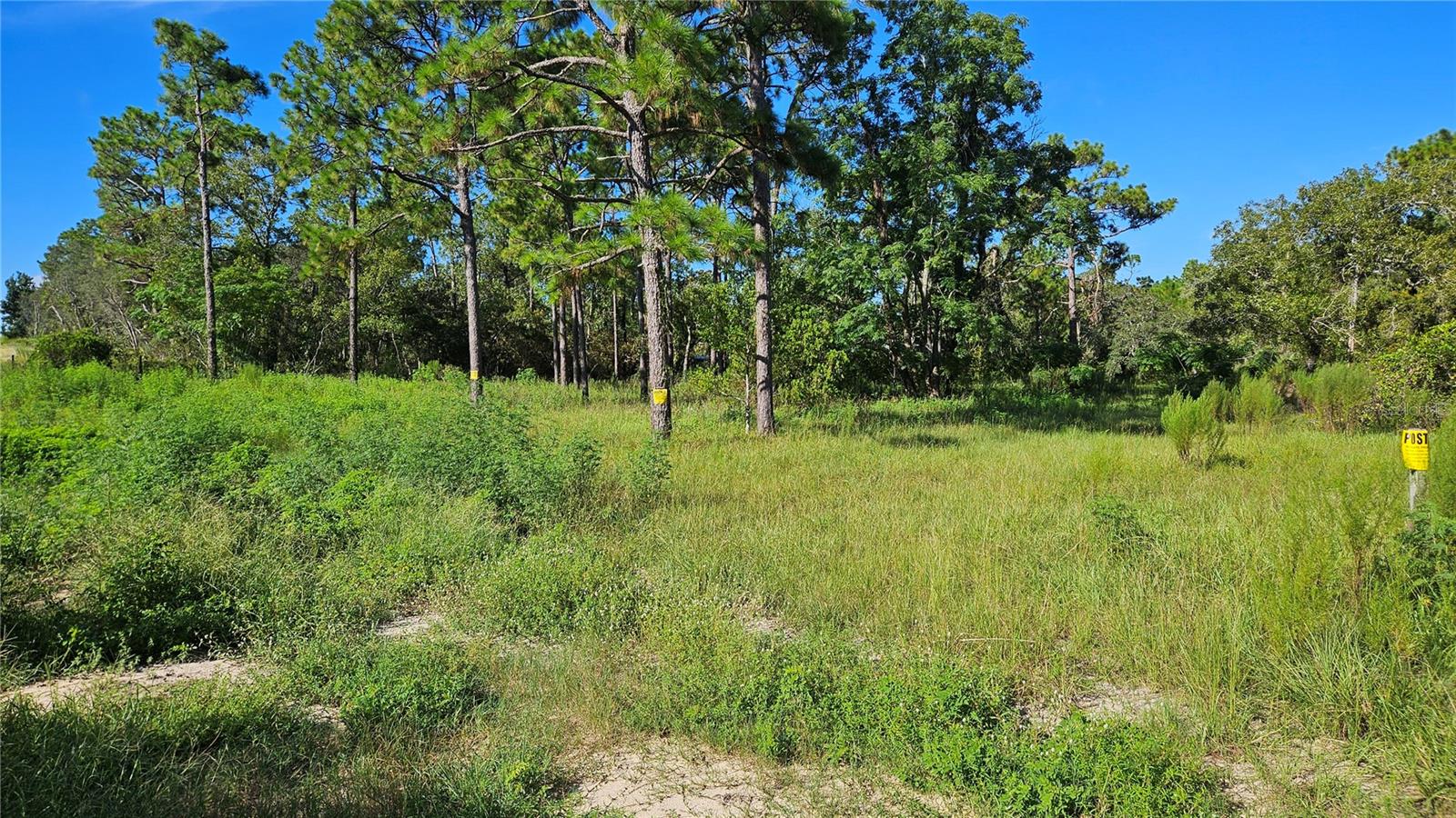Details for 5462 Clara Point, HOMOSASSA, FL 34446