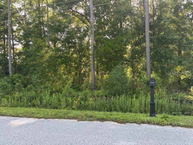 Details for Tbd 60th Terr, OCALA, FL 34482