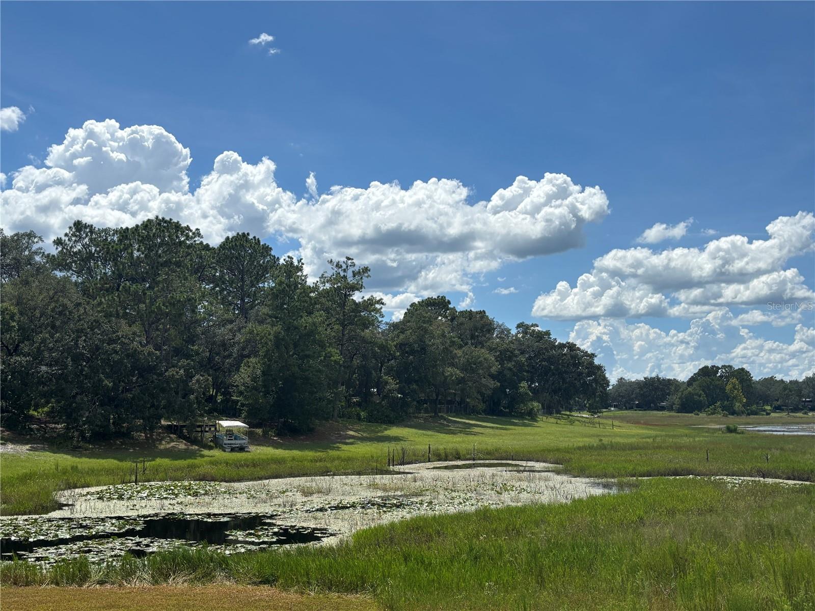 Details for 0 180th Ave  , OCKLAWAHA, FL 32179