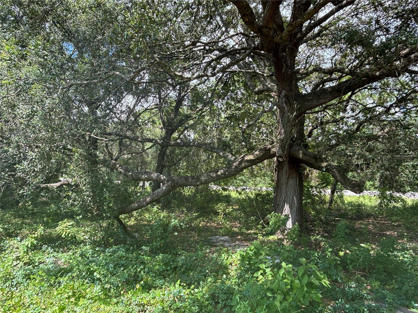 Image 10 of 12 For 0 180th Ave  