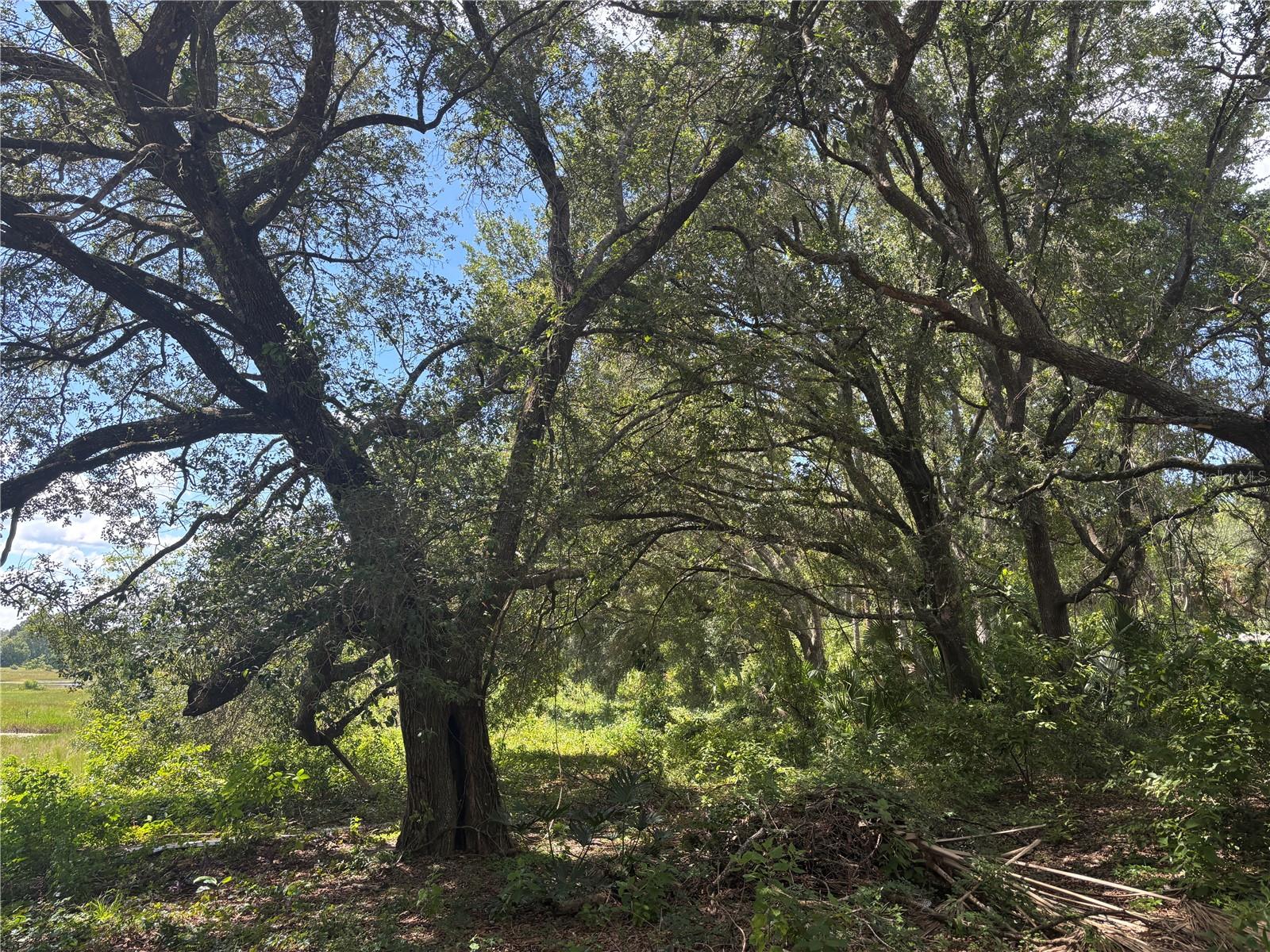 Image 11 of 12 For 0 180th Ave  