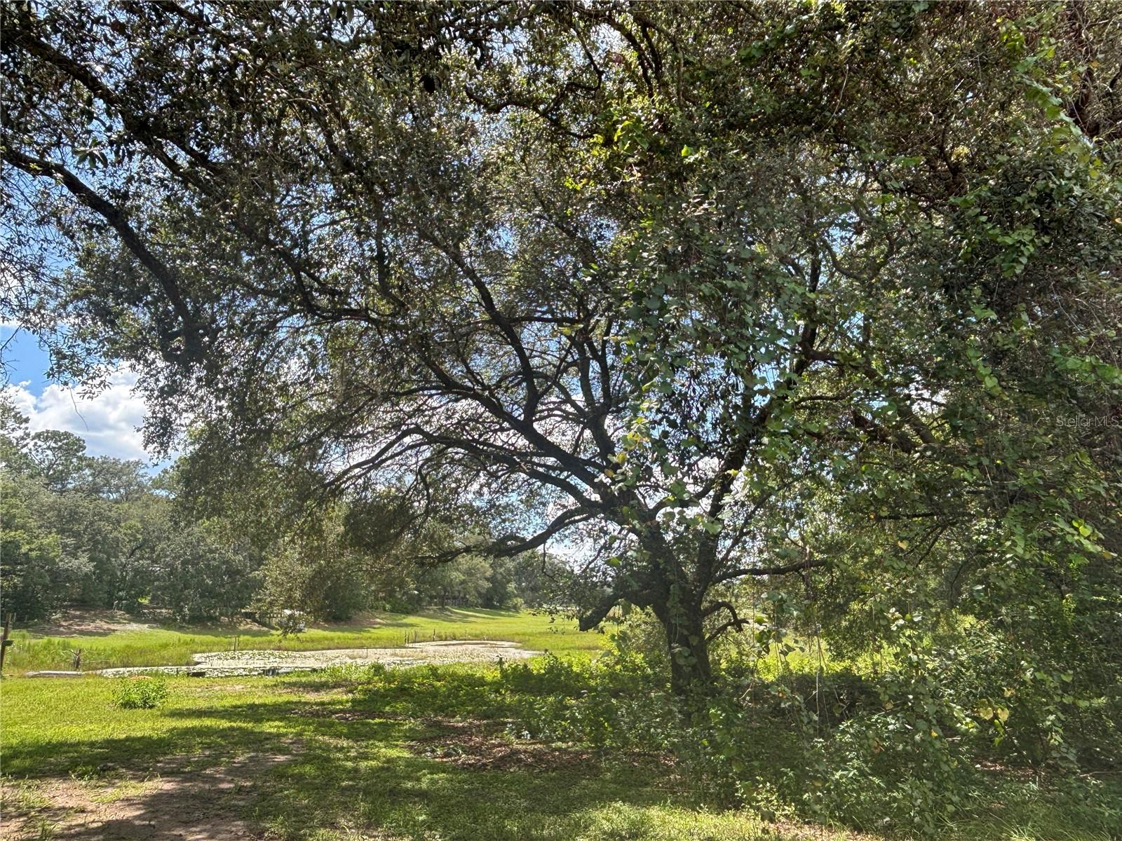 Image 12 of 12 For 0 180th Ave  