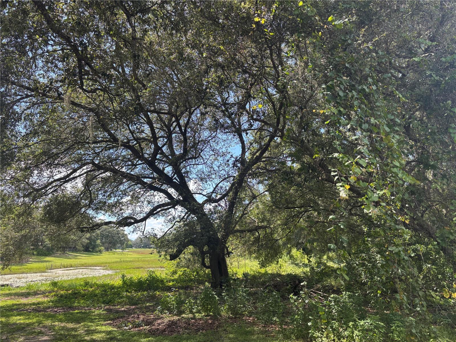 Image 7 of 12 For 0 180th Ave  