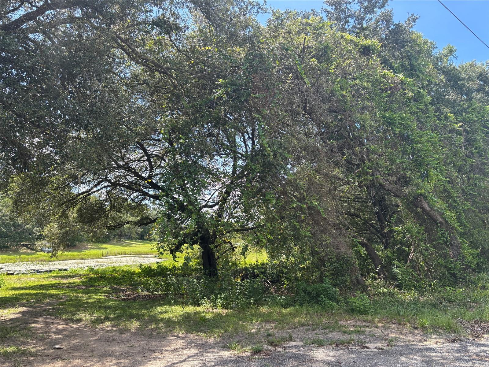 Image 8 of 12 For 0 180th Ave  