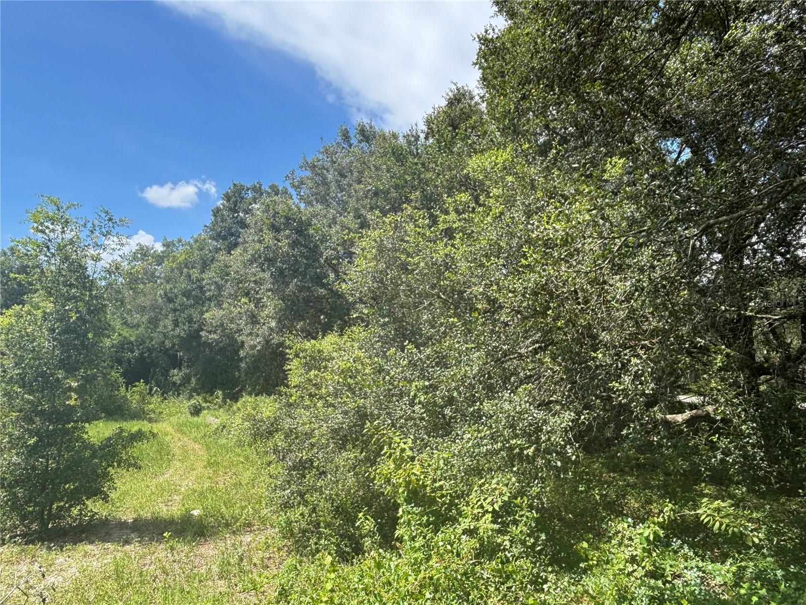 Image 9 of 12 For 0 180th Ave  